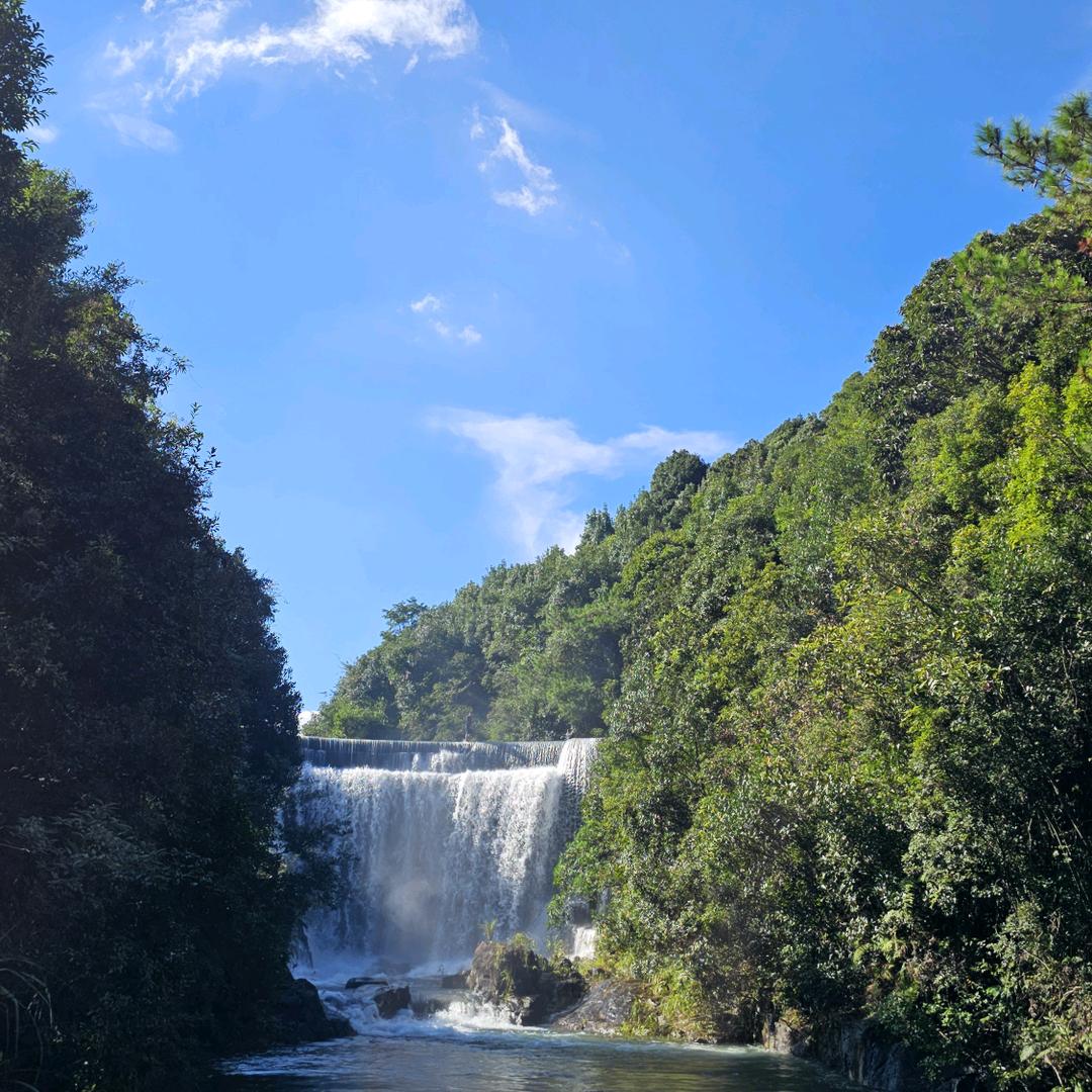 偷吃蛋糕的老板🎂