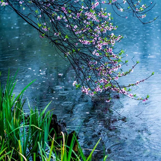 🌈☀️东边有海🌈☀️