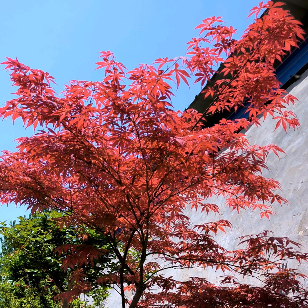 妞。。不要回头