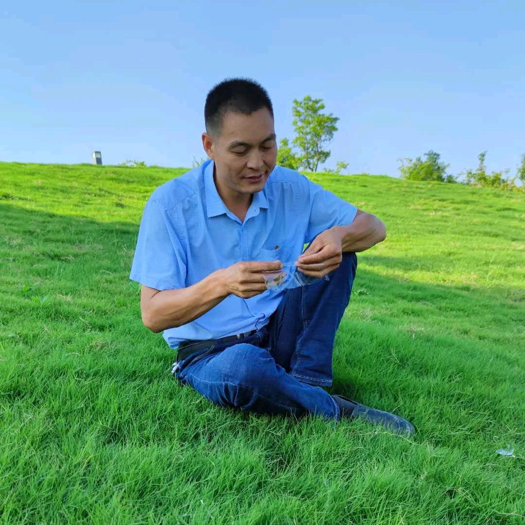 黄柿唢呐电声传媒