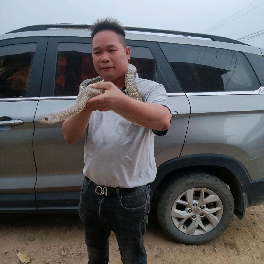 方向盘耽误了我当老板