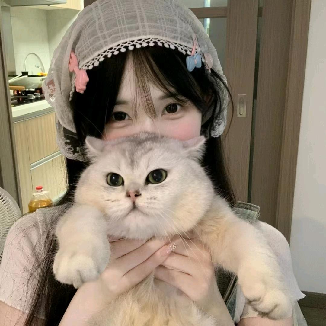 婉兮找房日记