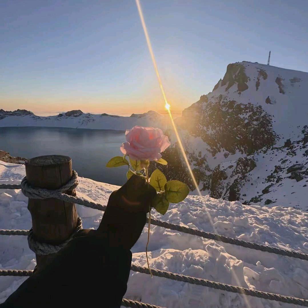 薛子辰（神经病版）