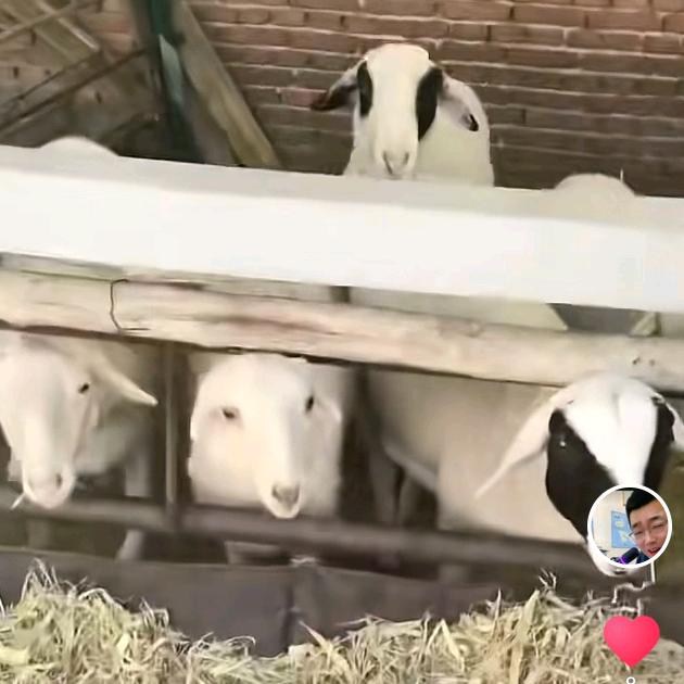 山西友谊国际旅行社开心小姜