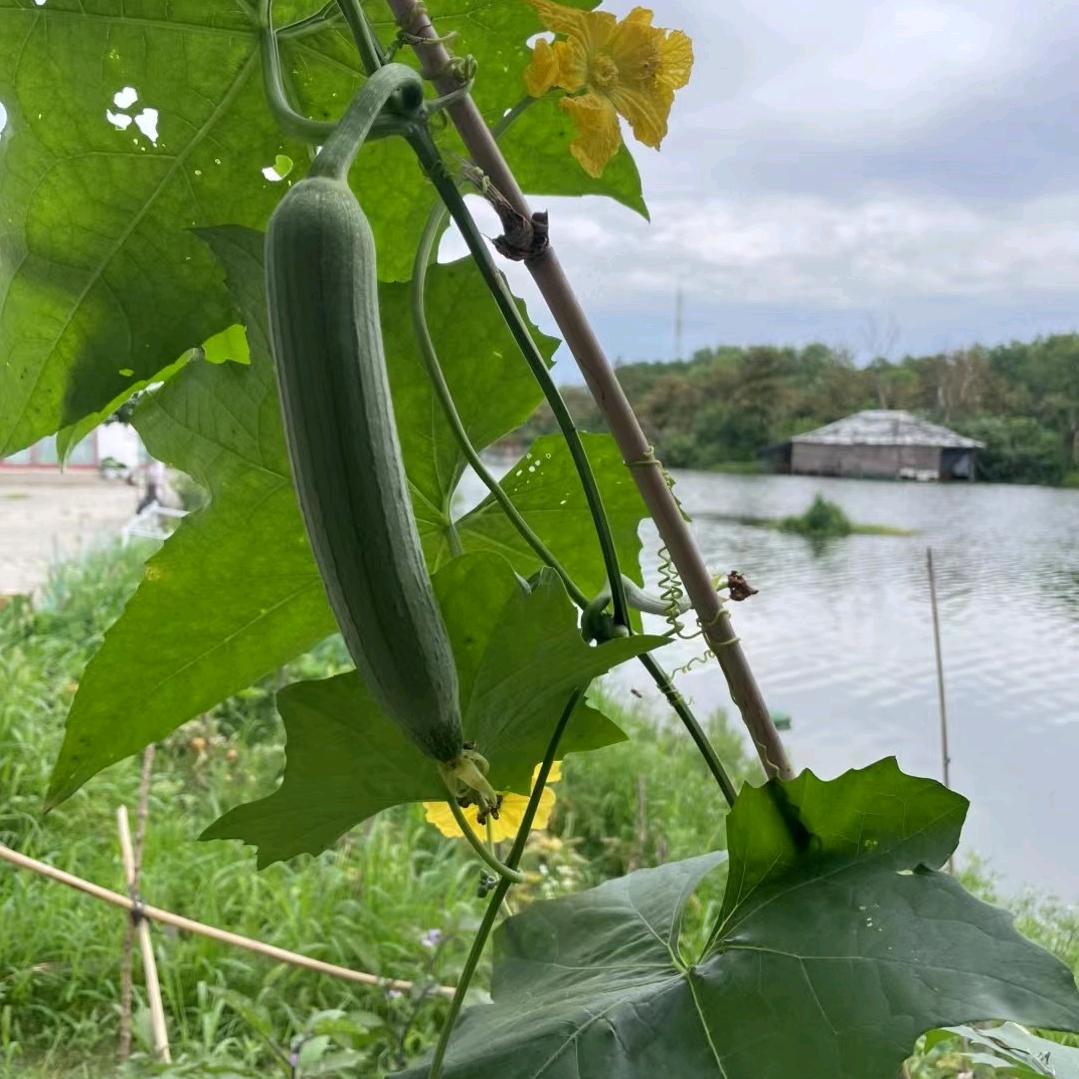 郫都陕足沅修脚按摩