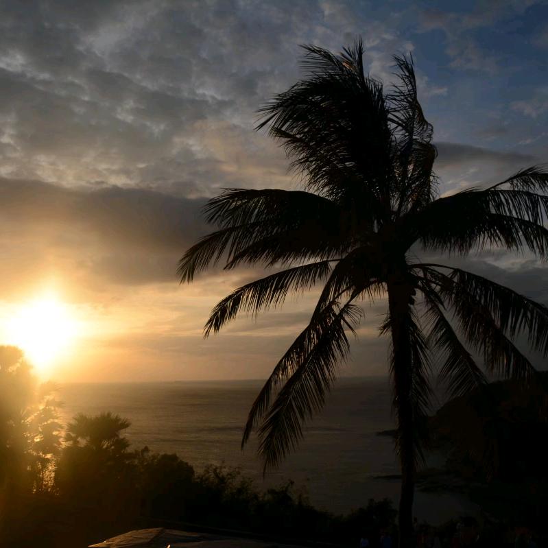 沉思往事立残阳