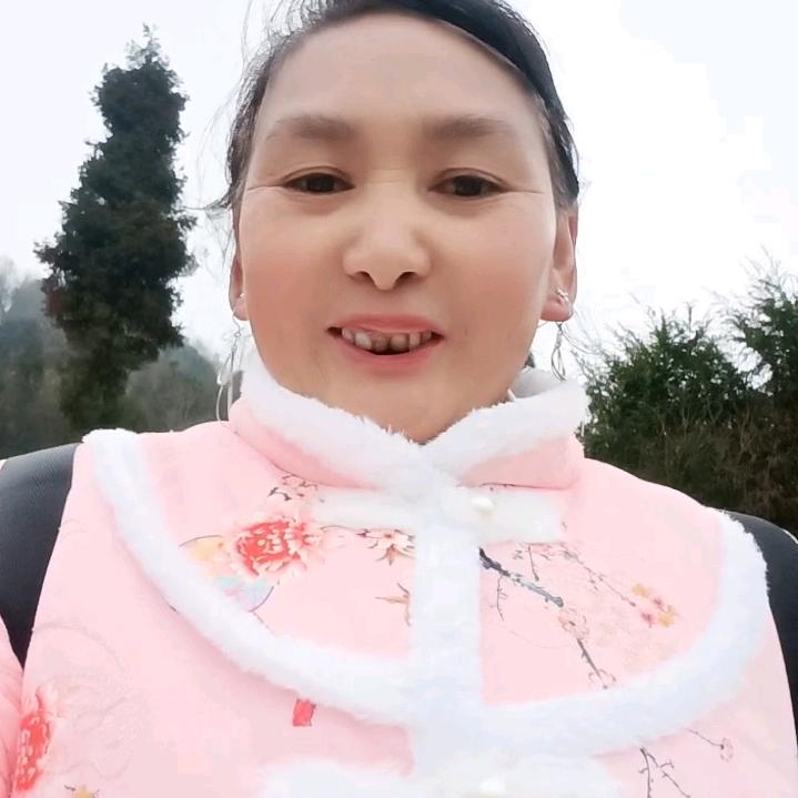 赵启秀