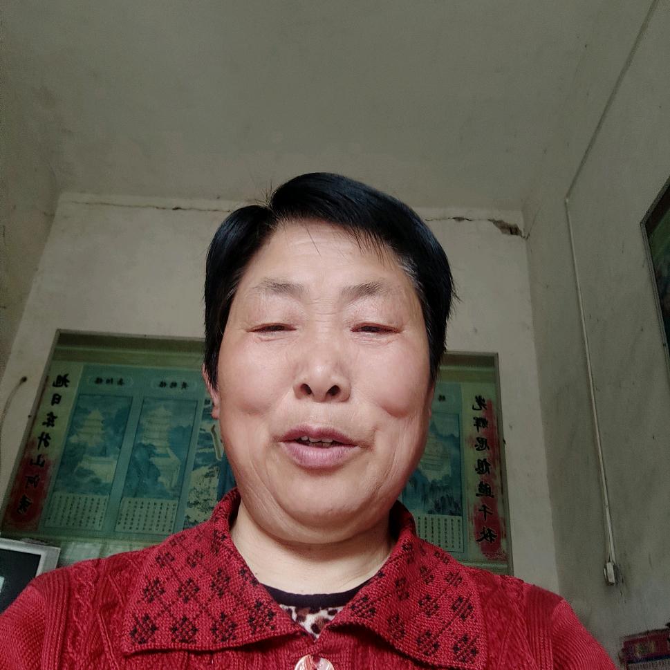 红尘过客