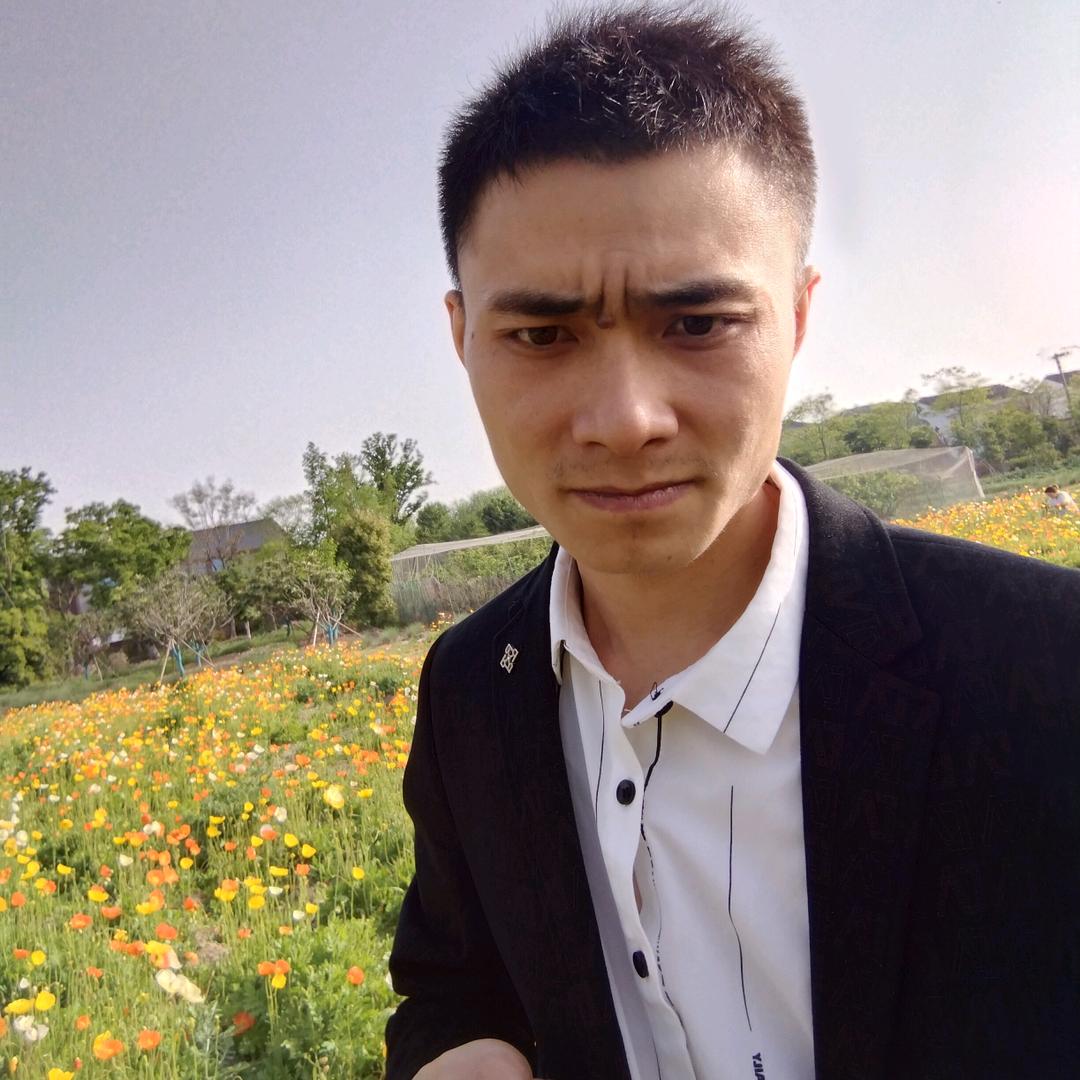 王摆摆