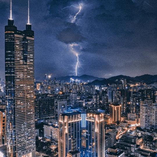 无辜的蚂蚁