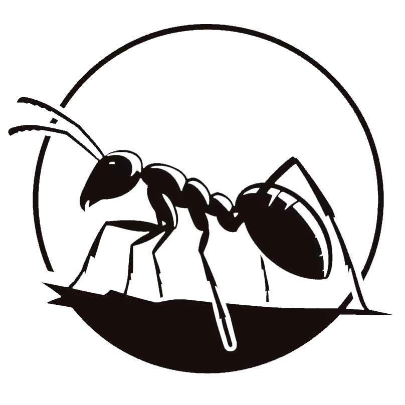 秦智琦