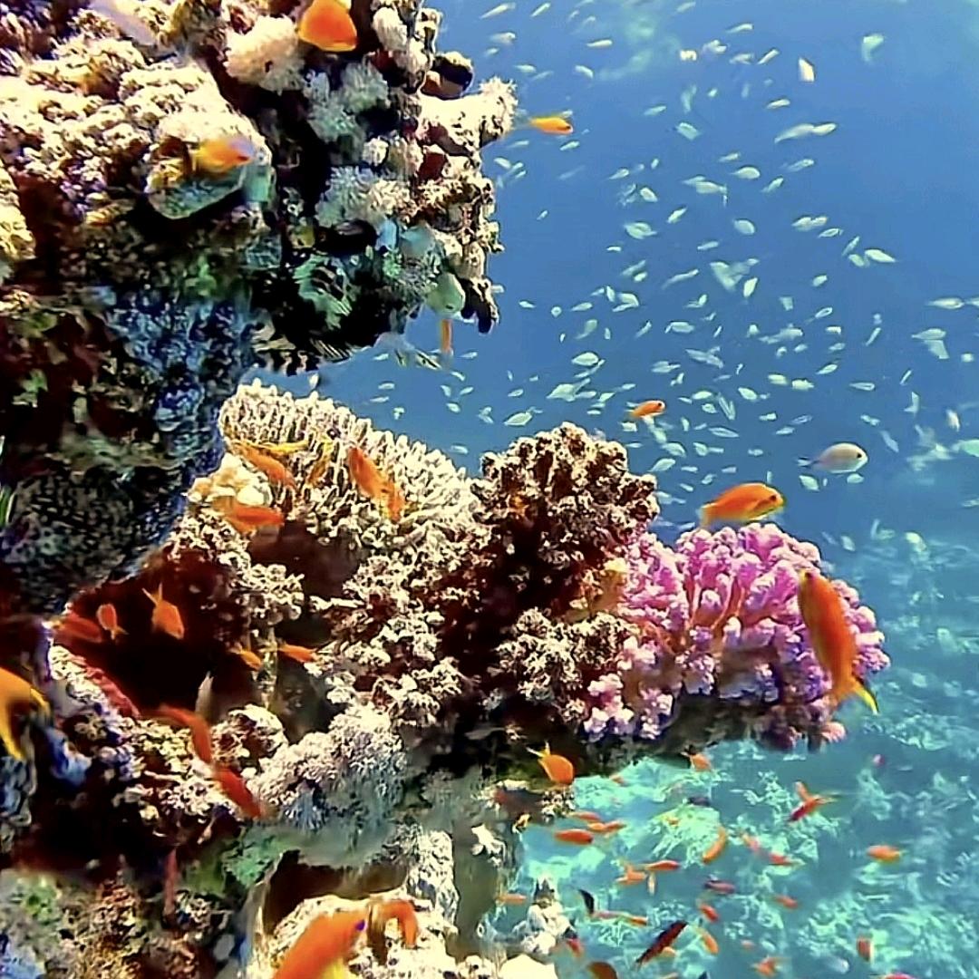 ^O^＆凪卄&@＆☆