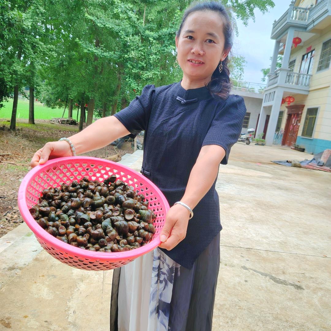 全州县凤凰忠心幼儿园王园