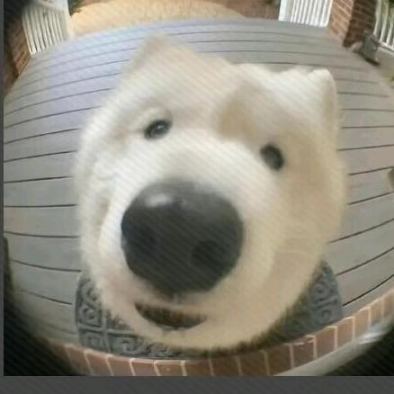 亲爱的小小Ning下士