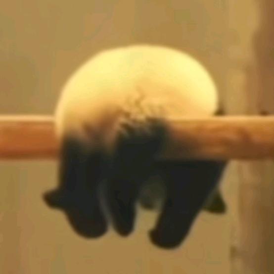 别拿豆包当干粮