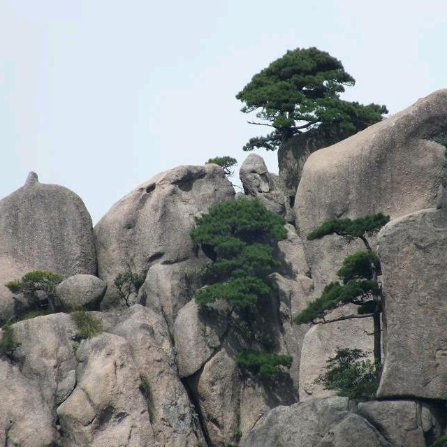 八七