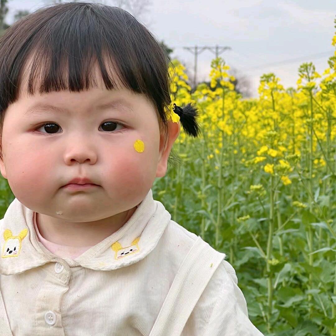 〆、柠檬花扣ヾ⁶⁶⁸