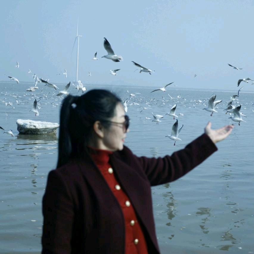 吴姐在奋斗