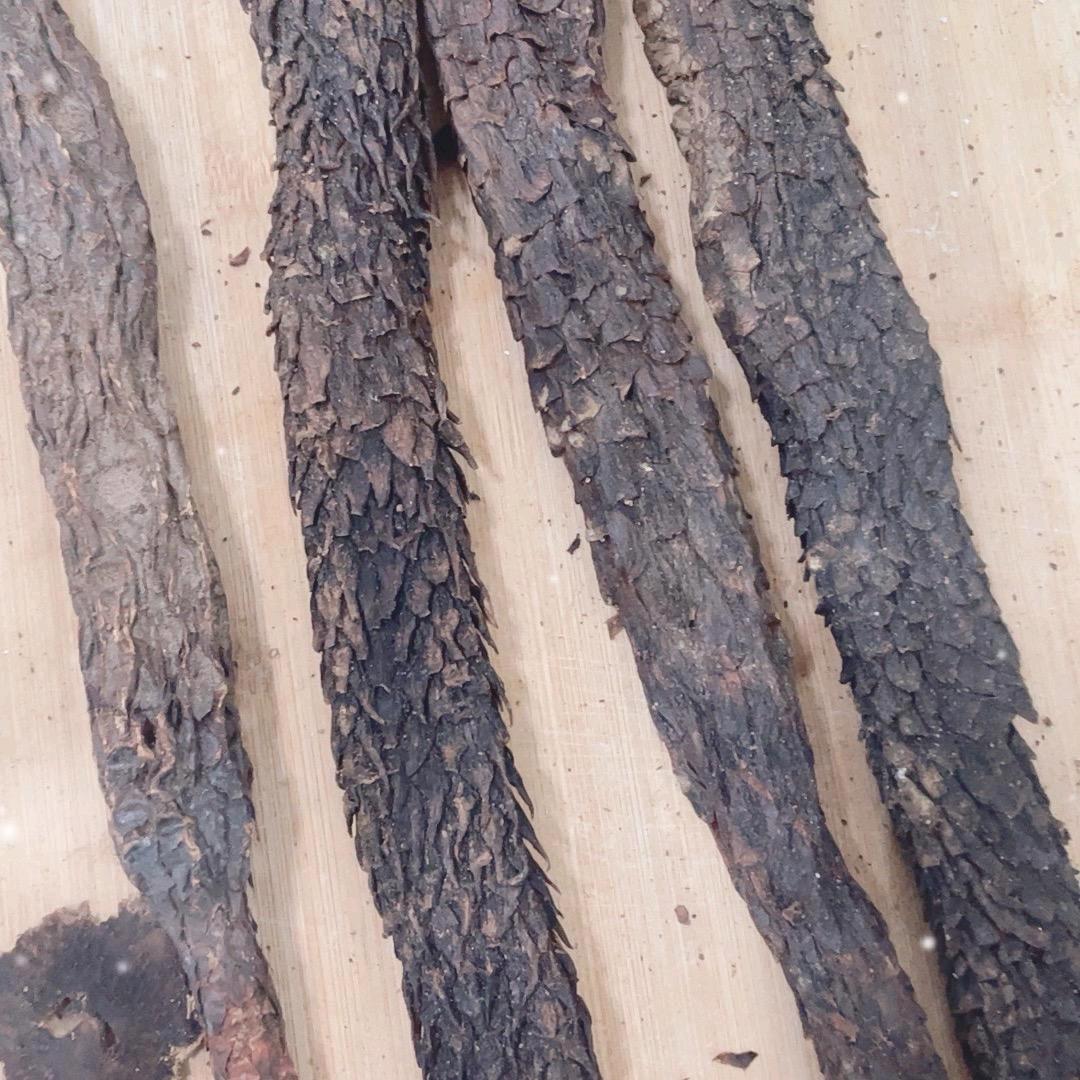 阿拉善肉肉锁锁