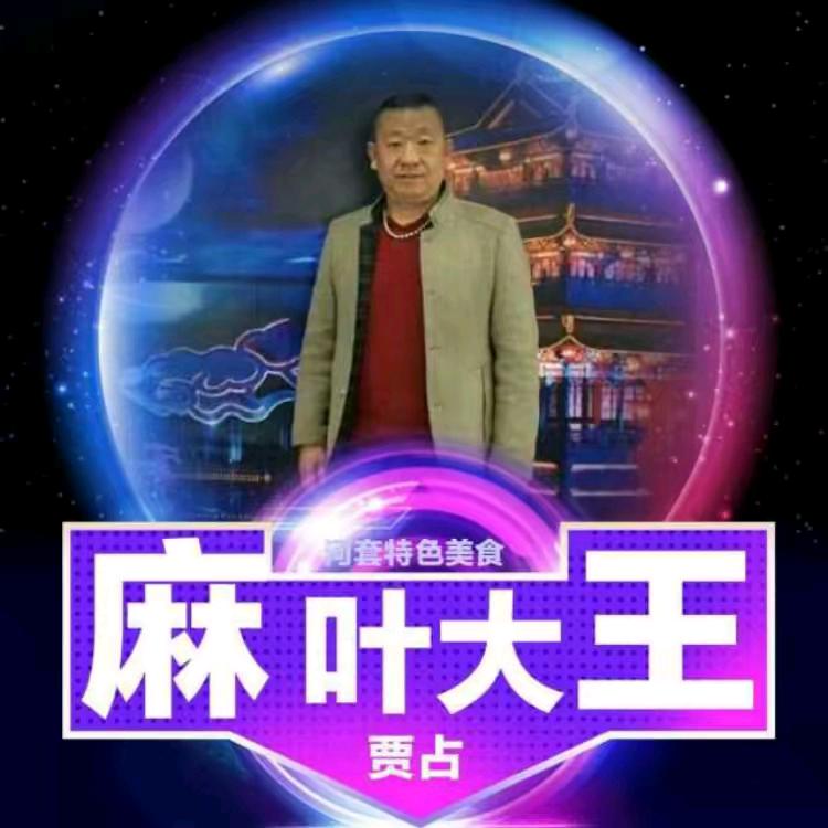 贾占  麻燕儿