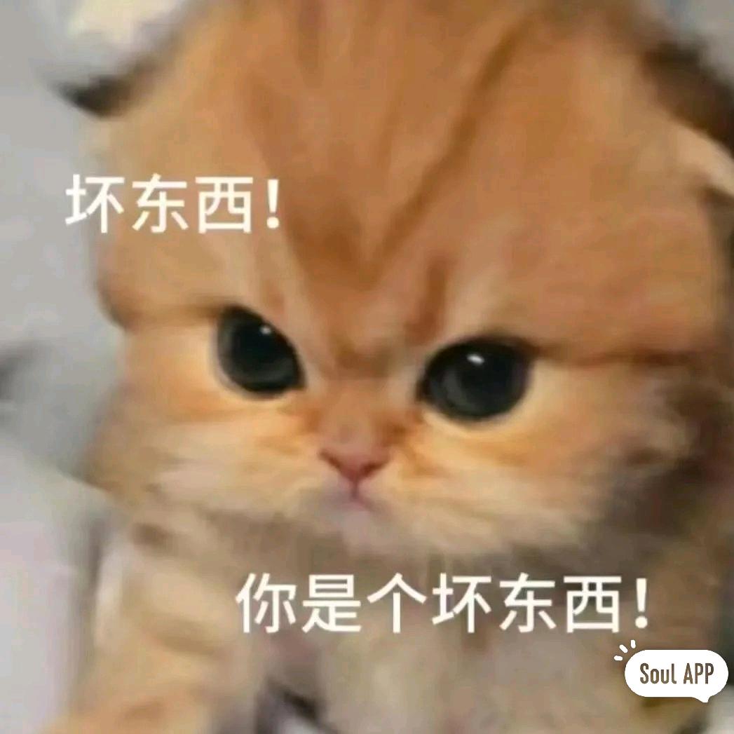 大 明明