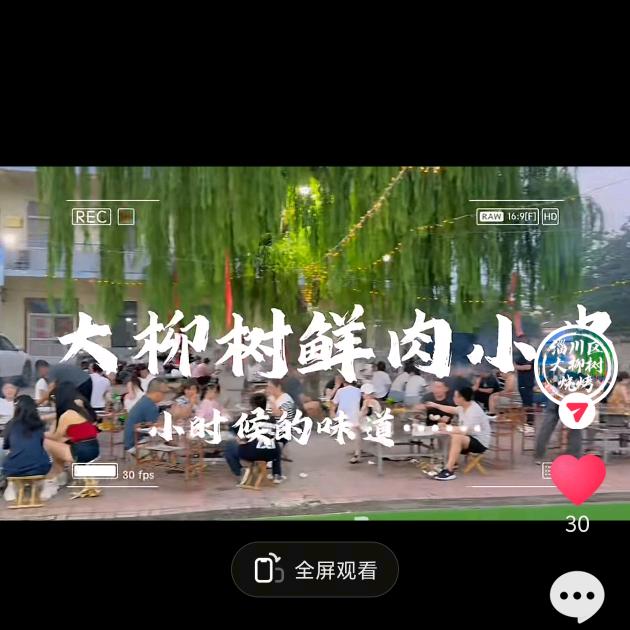 大柳树小串