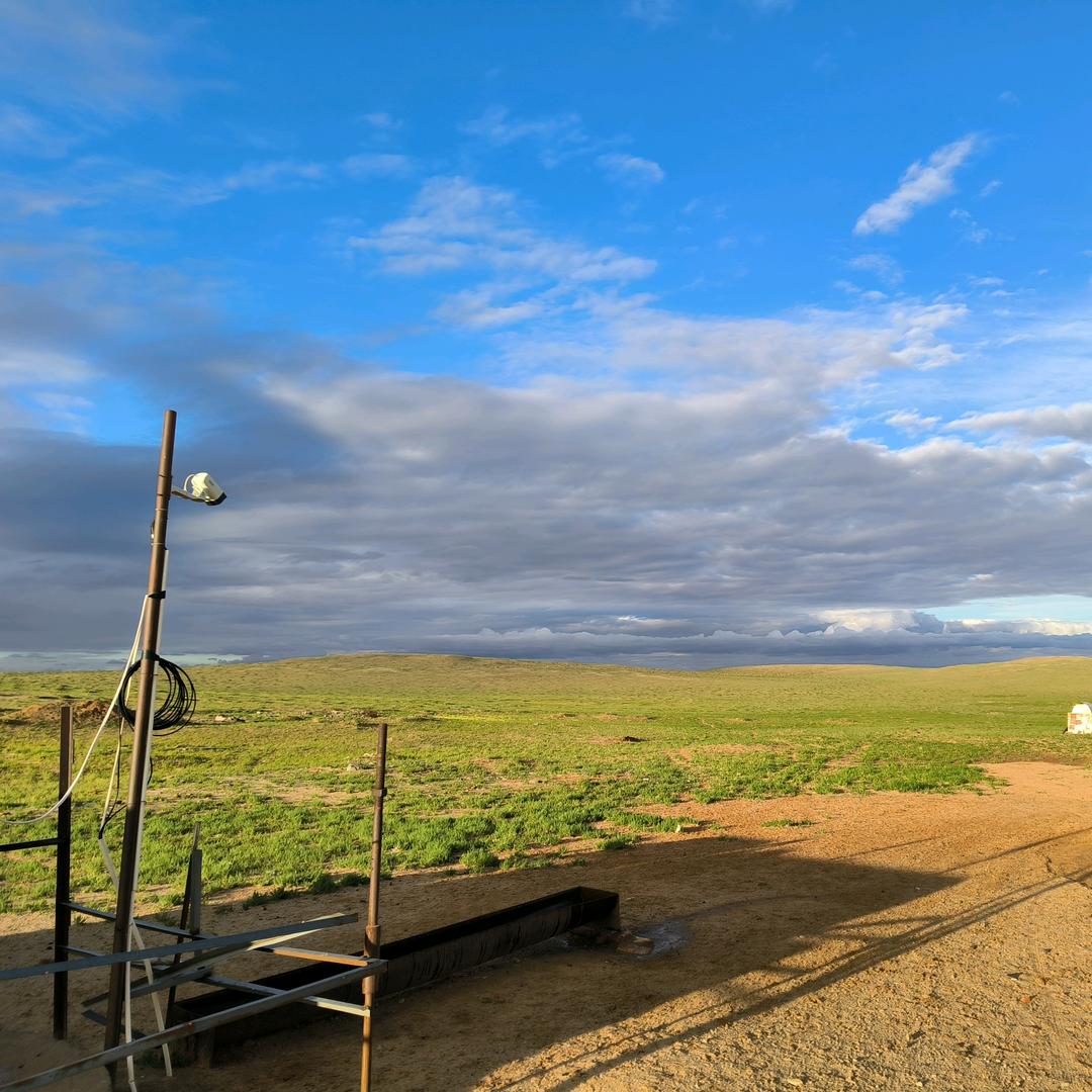 小乌（请进橱窗选好物）