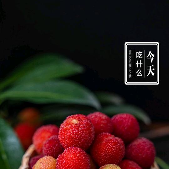 味在雷州！食在广州