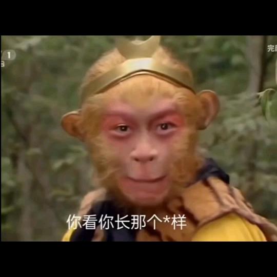 步入中登的老登