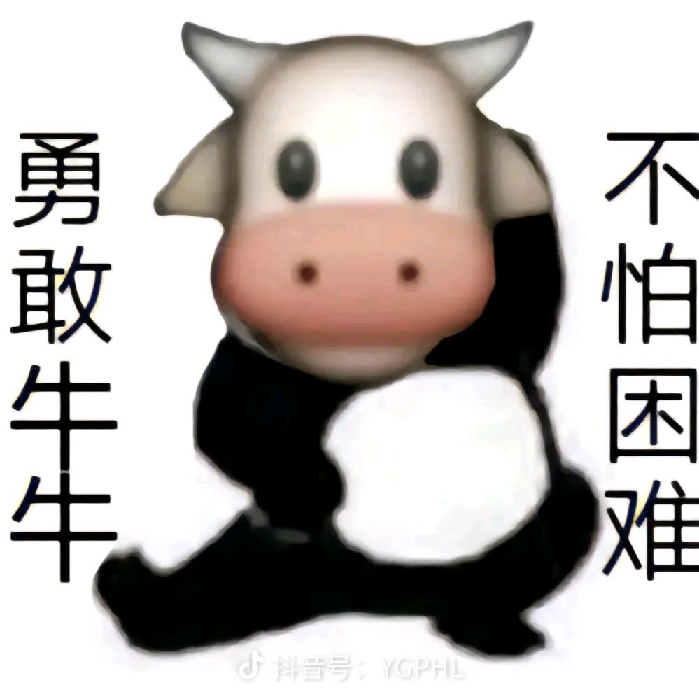 炒鸡大妞妞