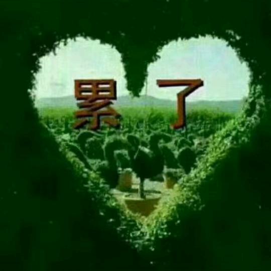 回不去的从前