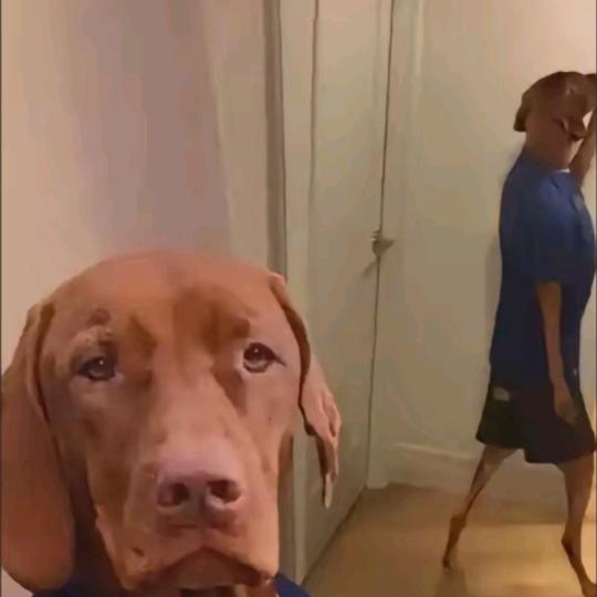 叭叭叭