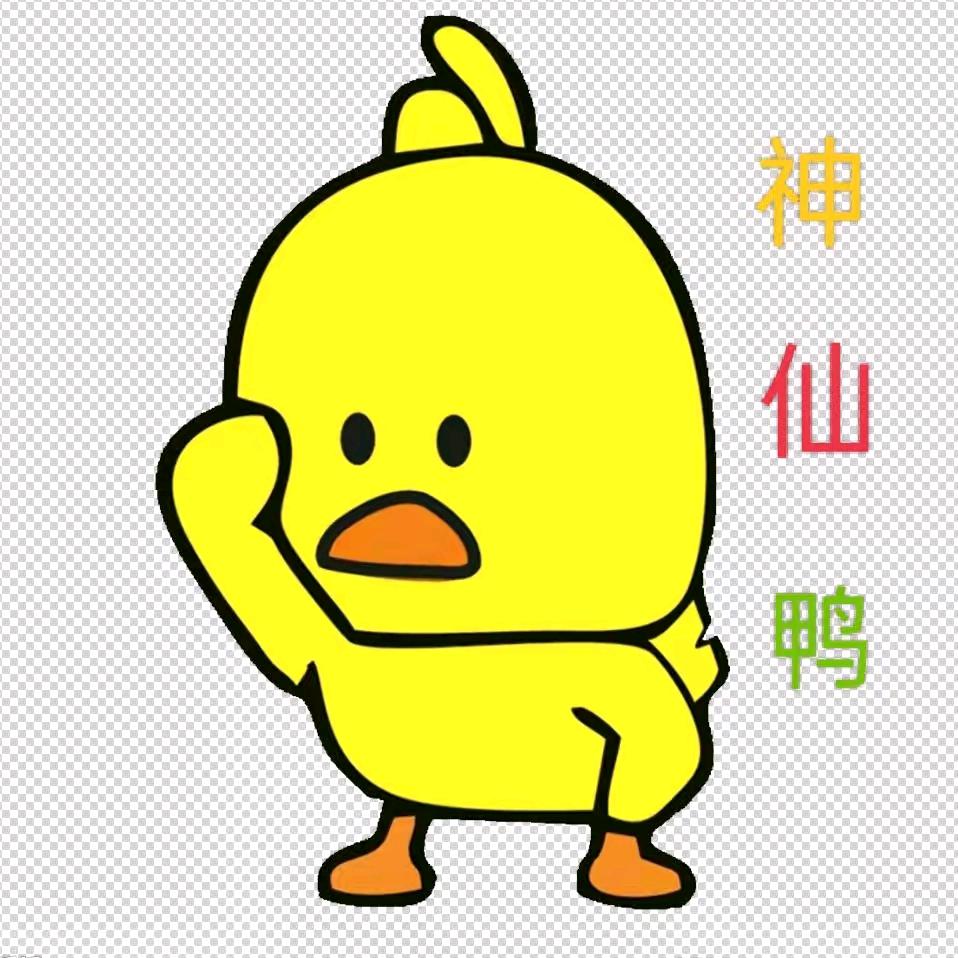 🍀三喲是🐖 一头大笨🐖🍀