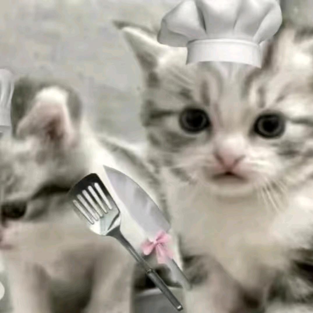 晴转阴ʕ◉ᴥ◉ʔ