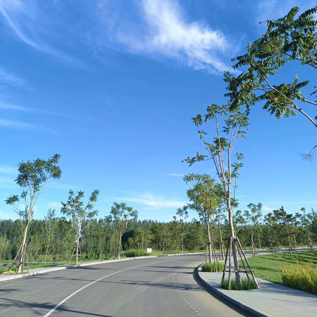 我爱我家（萍）