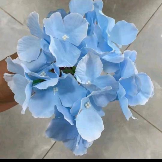 健康快乐66