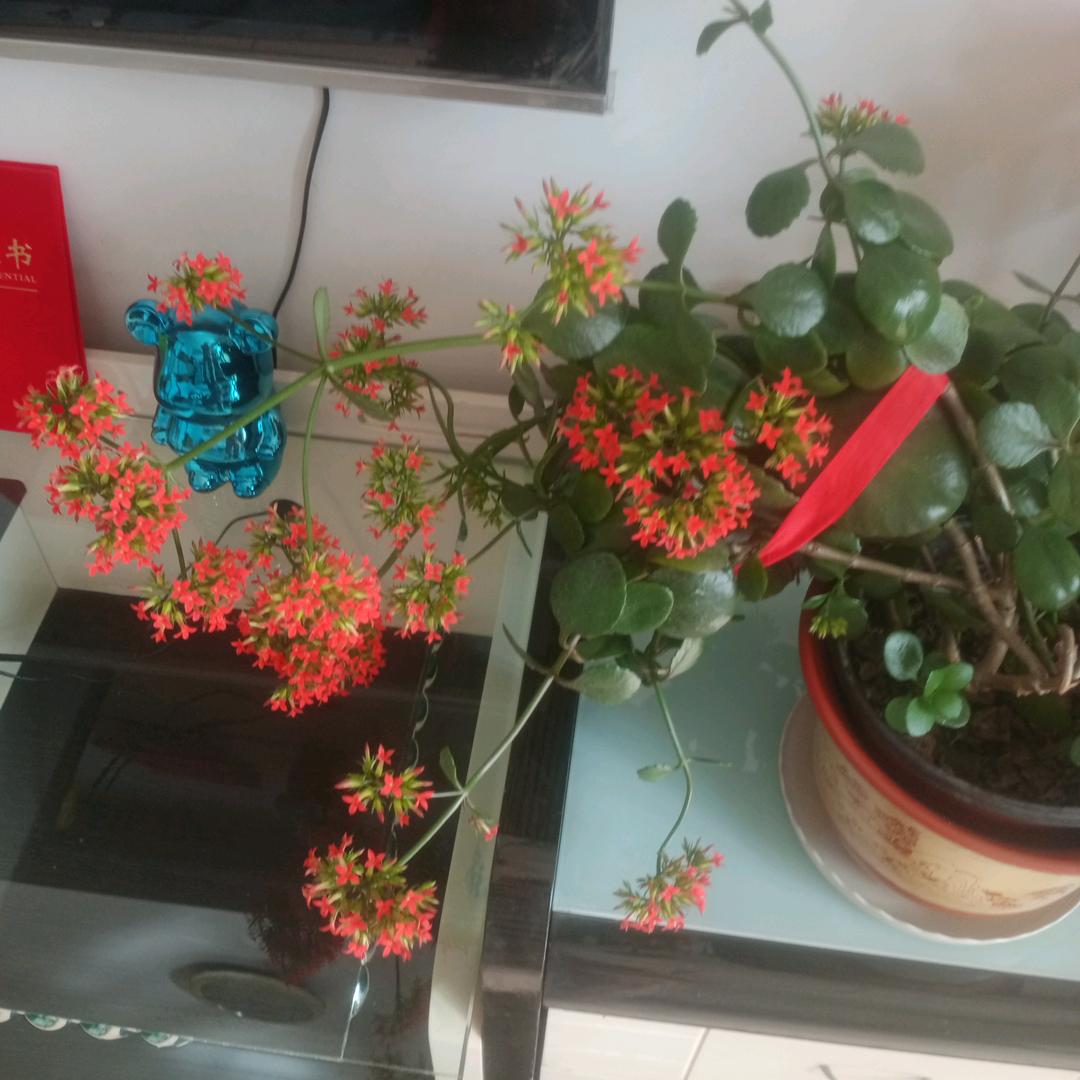 为了明天