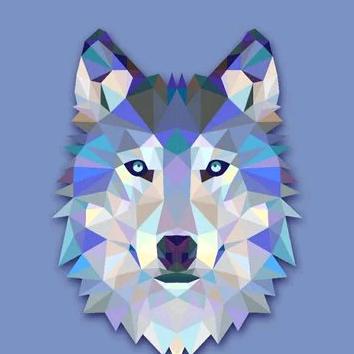 🎊孤🎈狼🐺