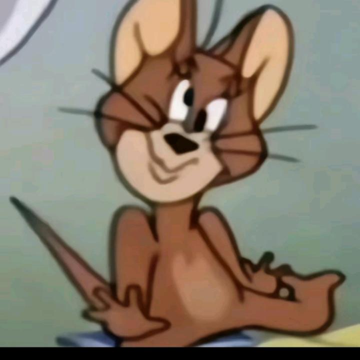 懵逼的杰瑞