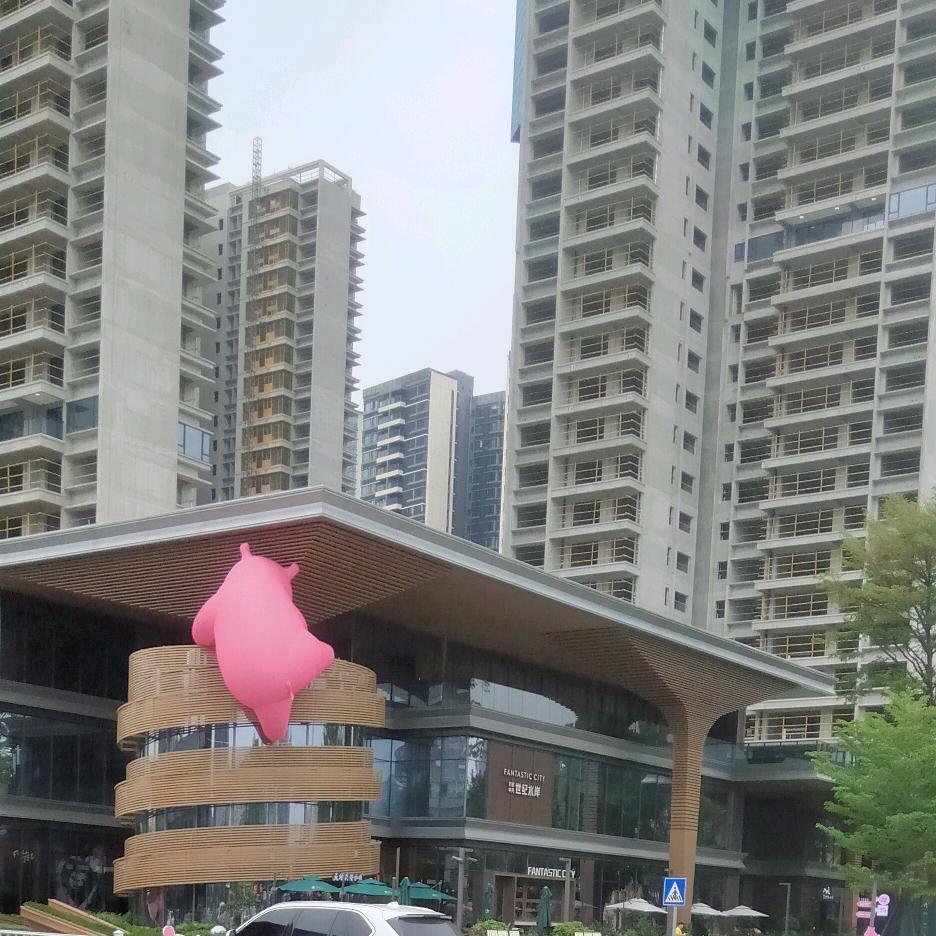 冬天的火