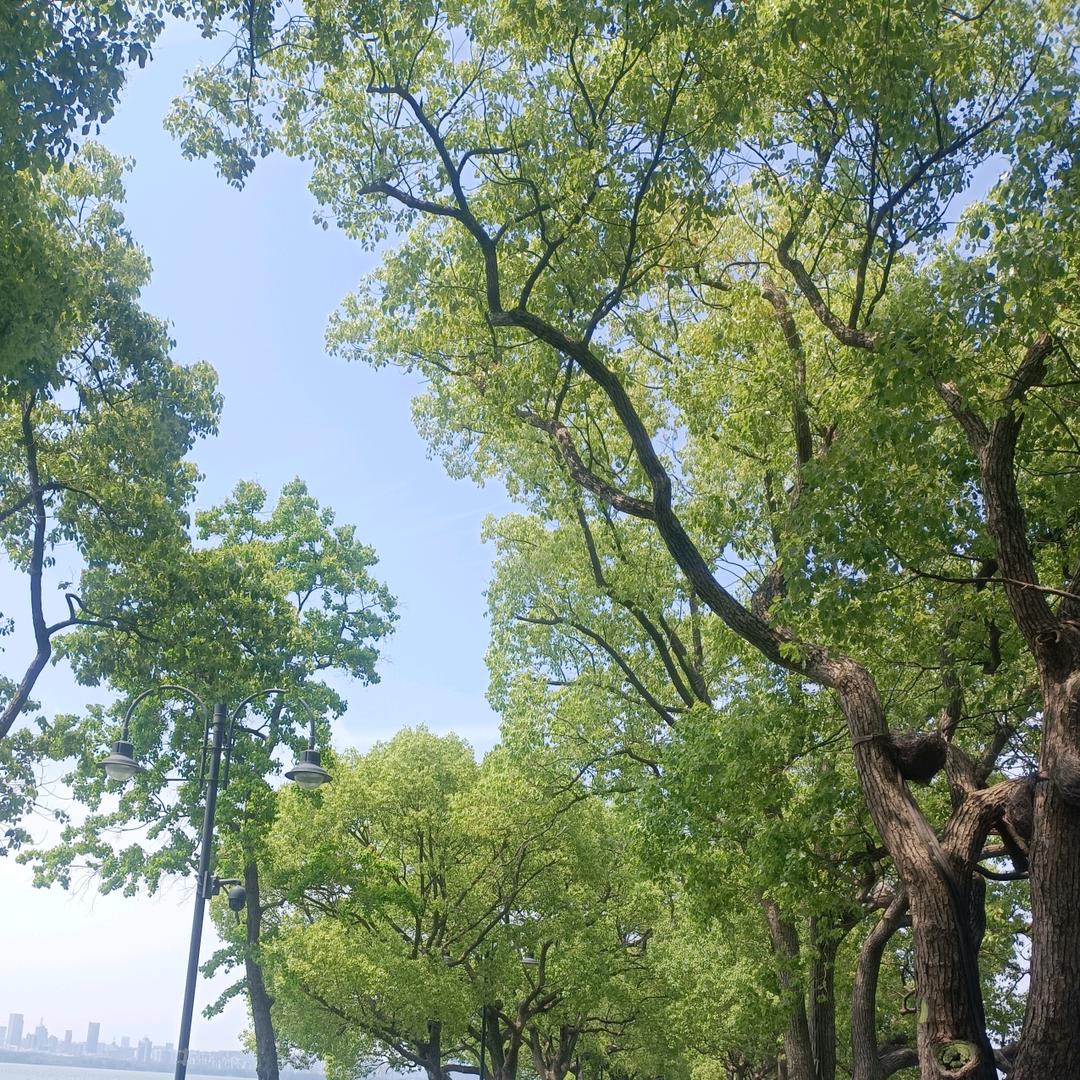 自由