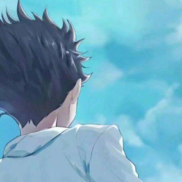 鲨鲨（三角洲行动）