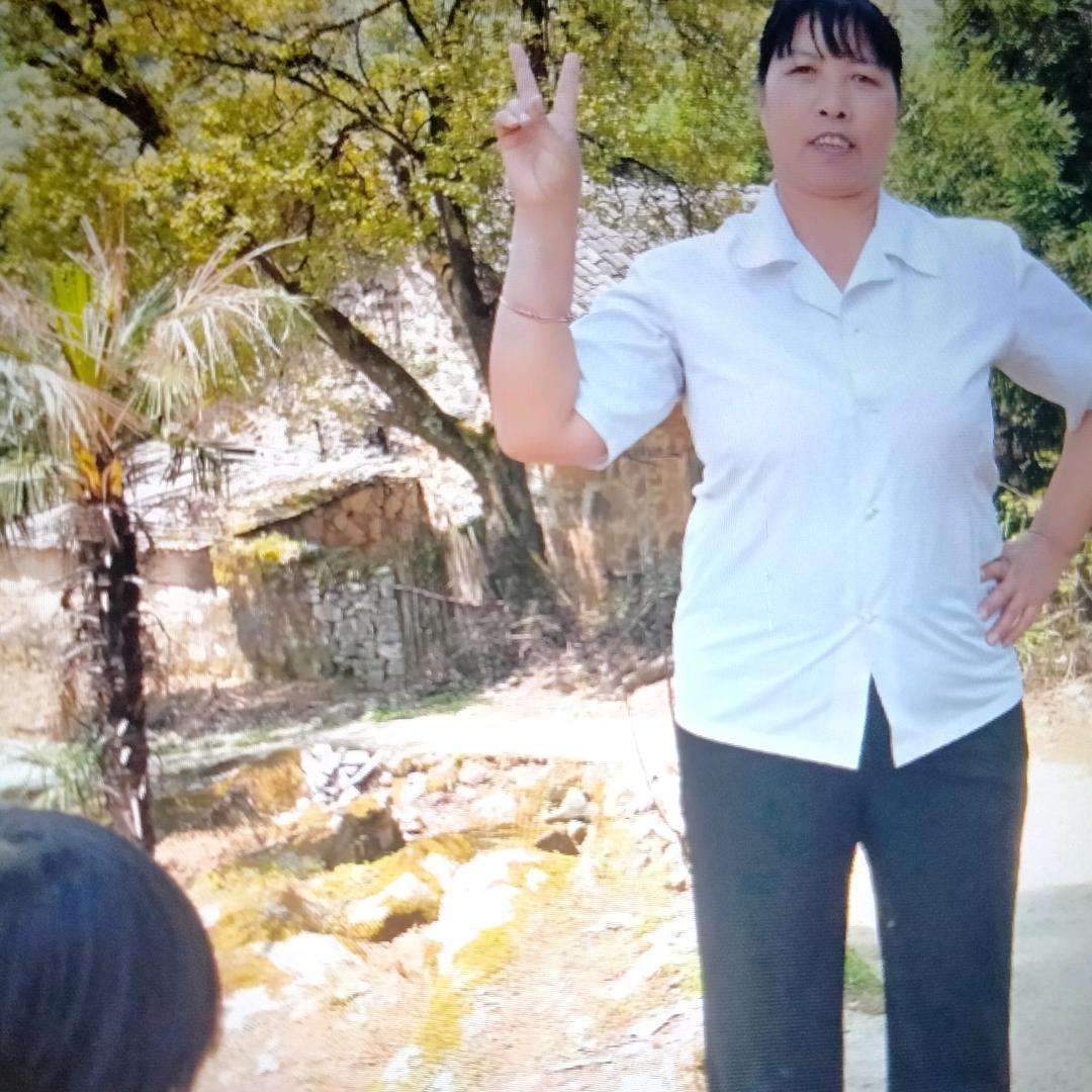 春风里的小草龙老大