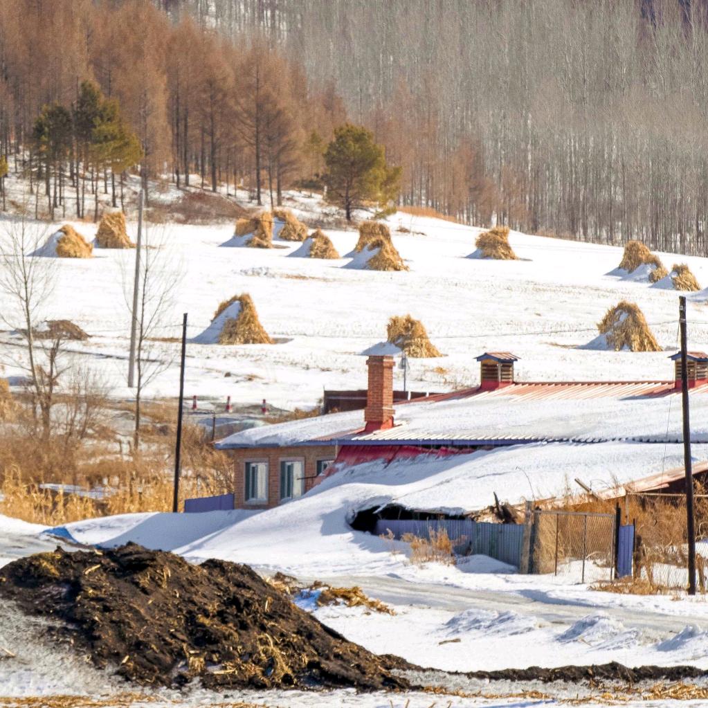 㥁㥡㥡屮䖙䅊𥹄