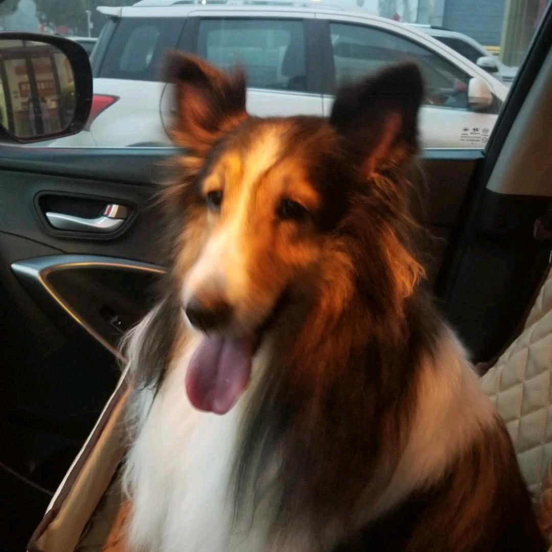 咿呀咿呀哟(>_<)