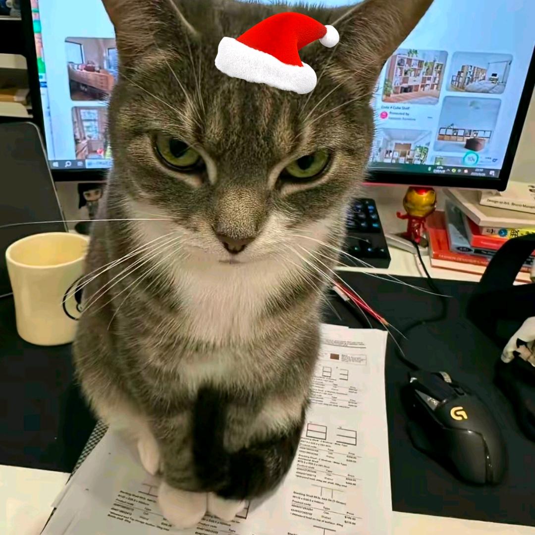 脊皮一撕又是厨楠