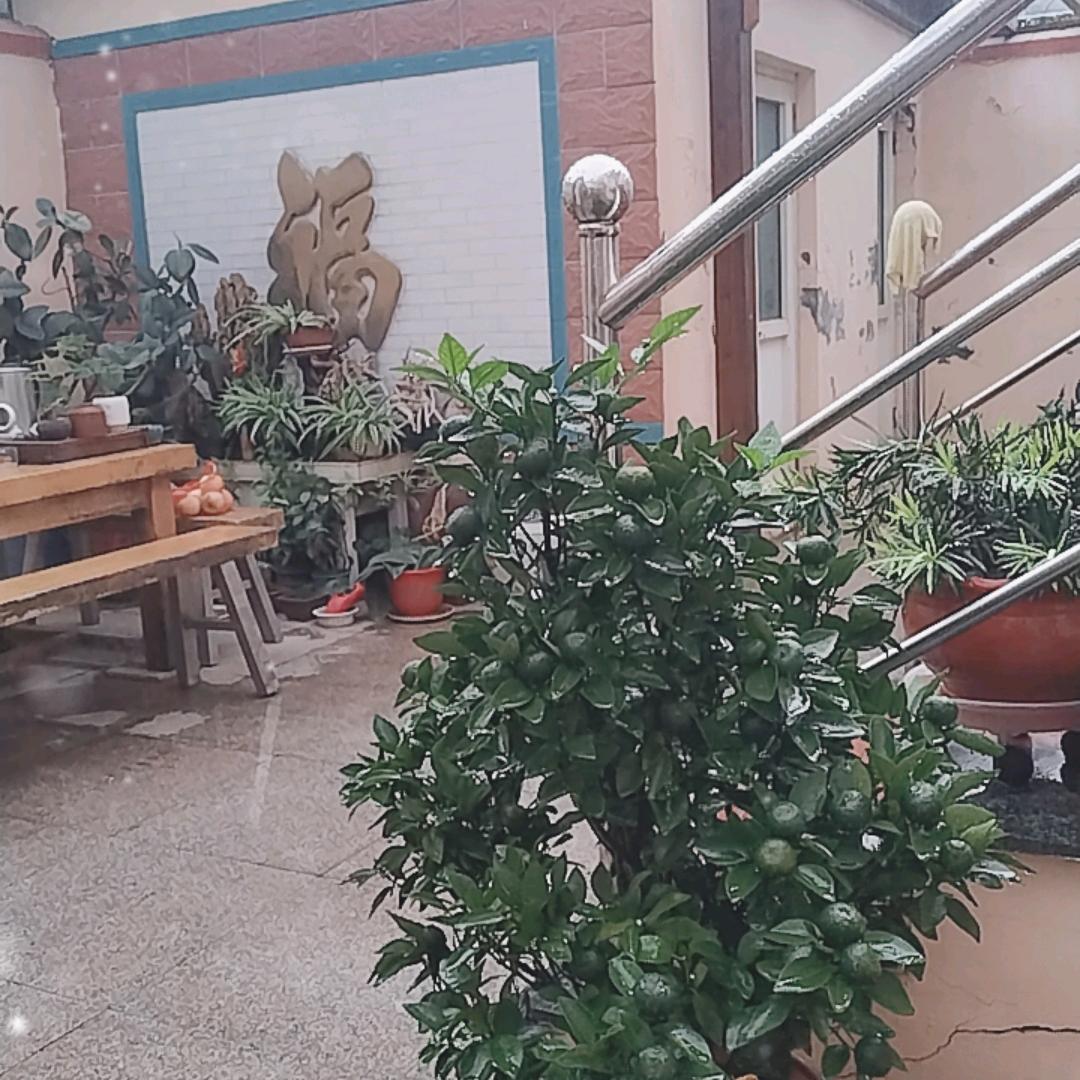 红红的田园生活