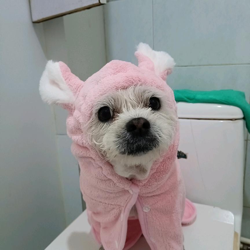 上官樱悦