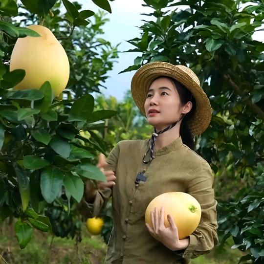 玉姐甄选