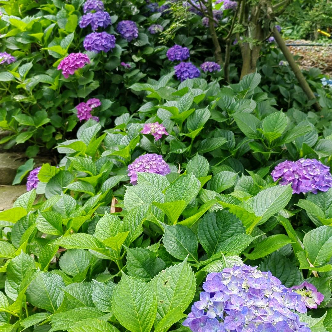 @@